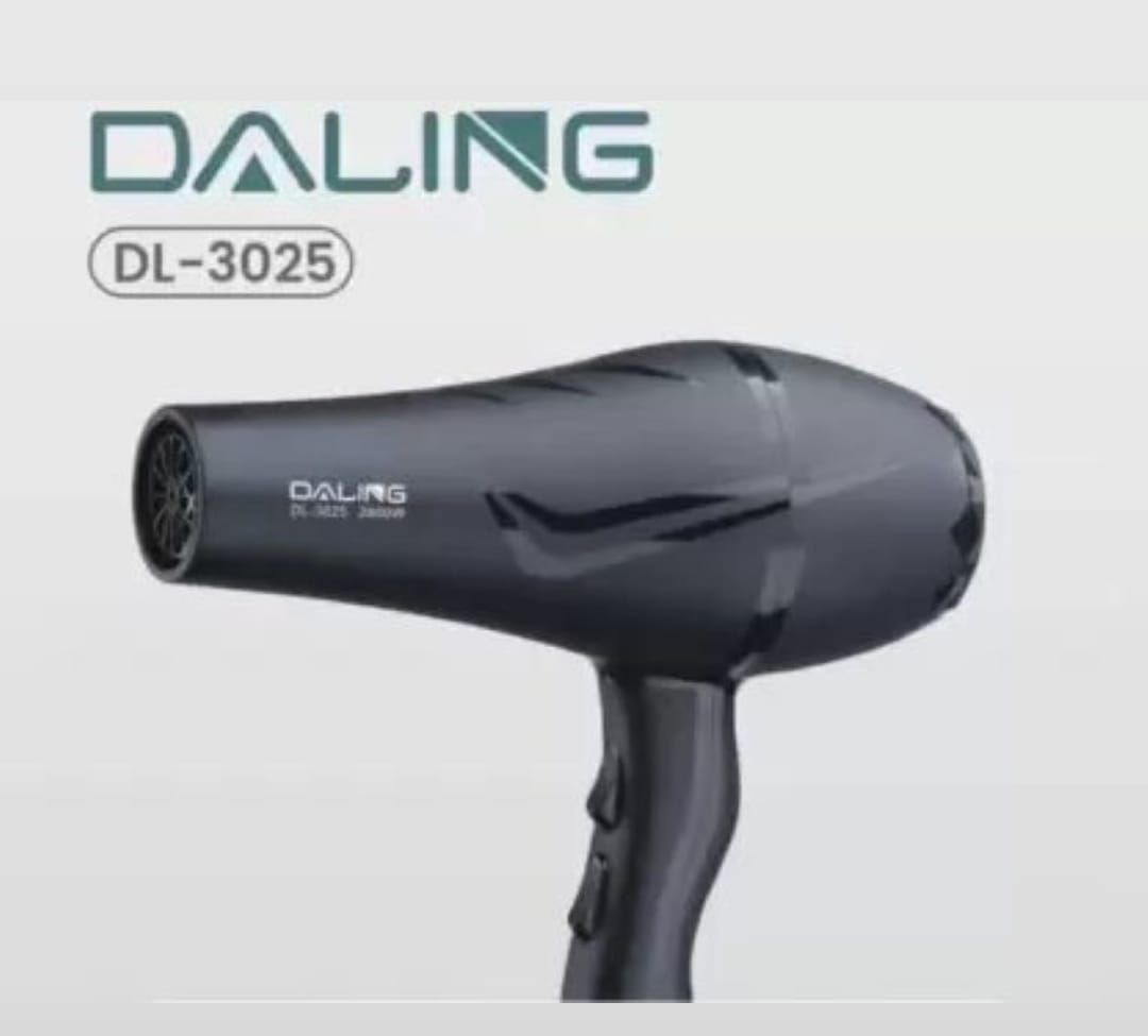 DALING DL-3025 Hair Dryer SS00114TG