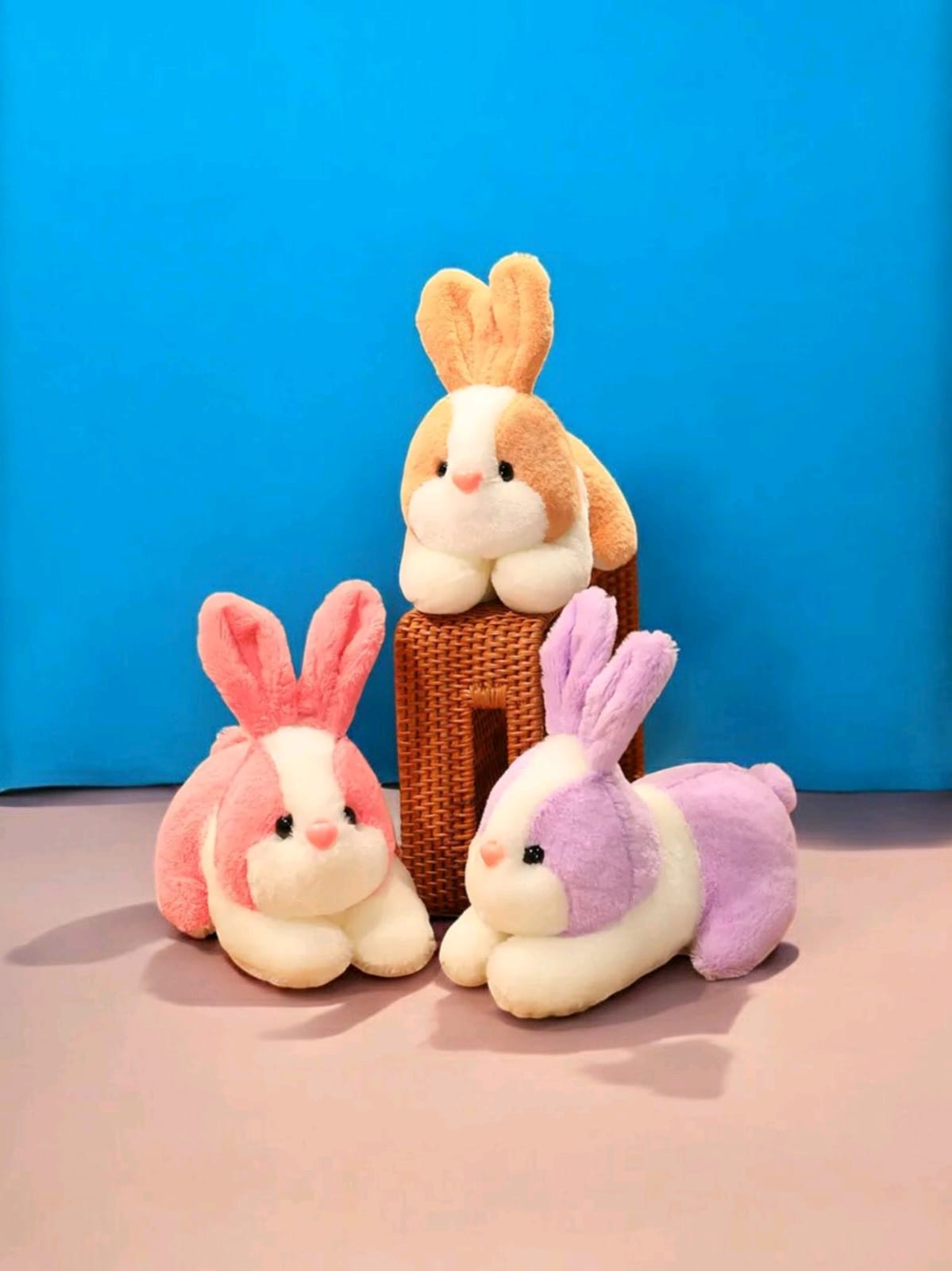 1885 Rabbit 7Inch AM00215PS