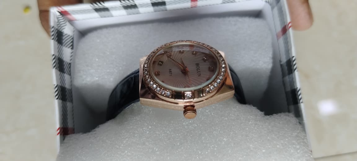 Bolun Luxury WOMEN Wristwatch - AM01007TS