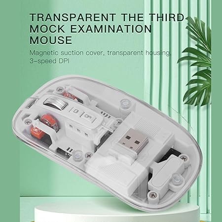 Optical Wireless Mouse  SS00029TG