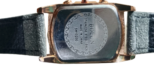 ROXAR Men's Luxury Wristwatch -AM01001TS