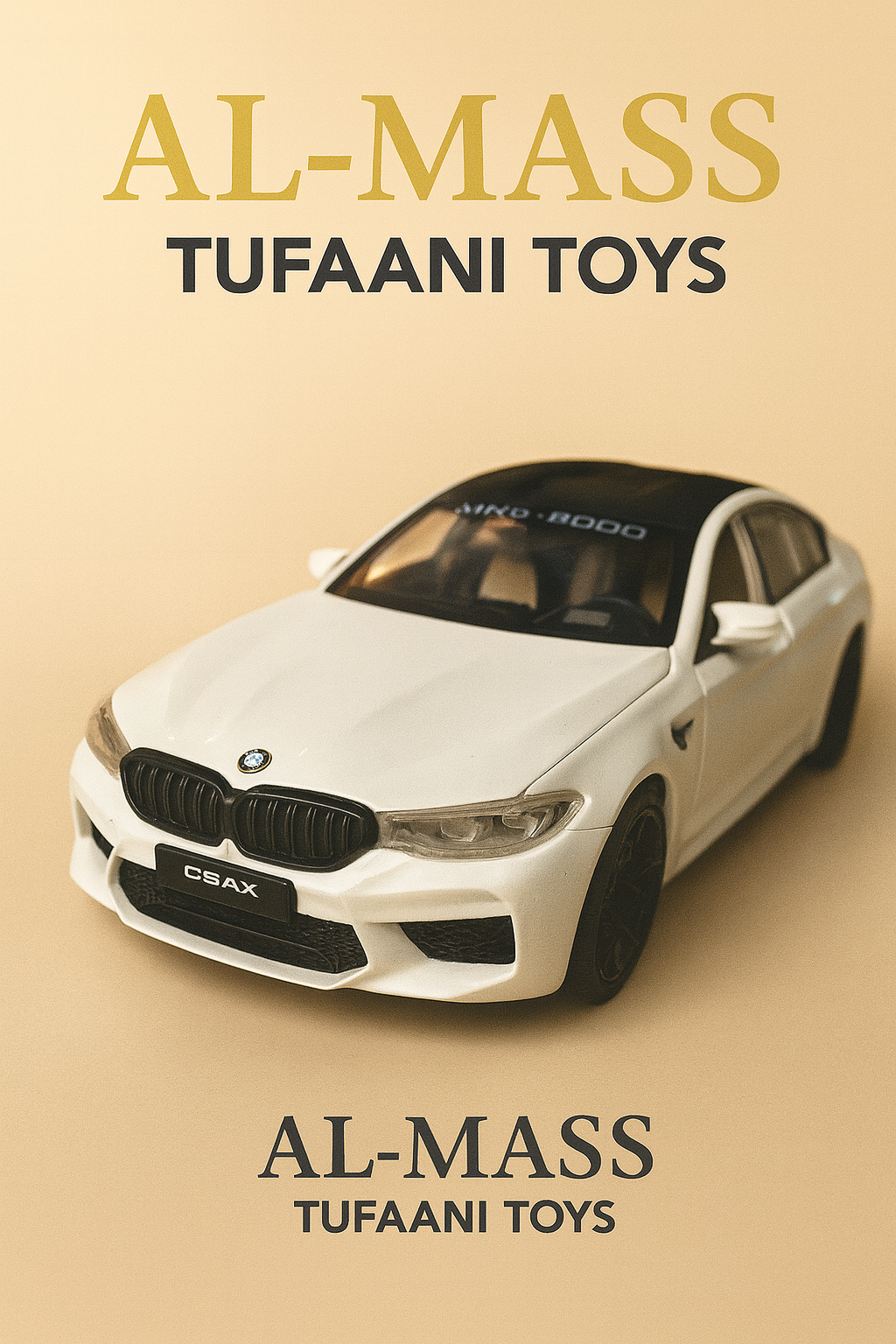 BMW CSAX (AM00927SK)