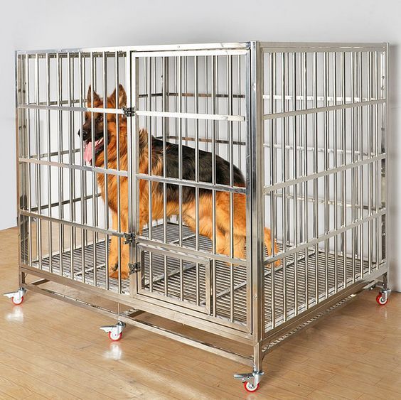 Heavy-Duty Metal Cage for Cats & Dogs with Double Door & Wheels