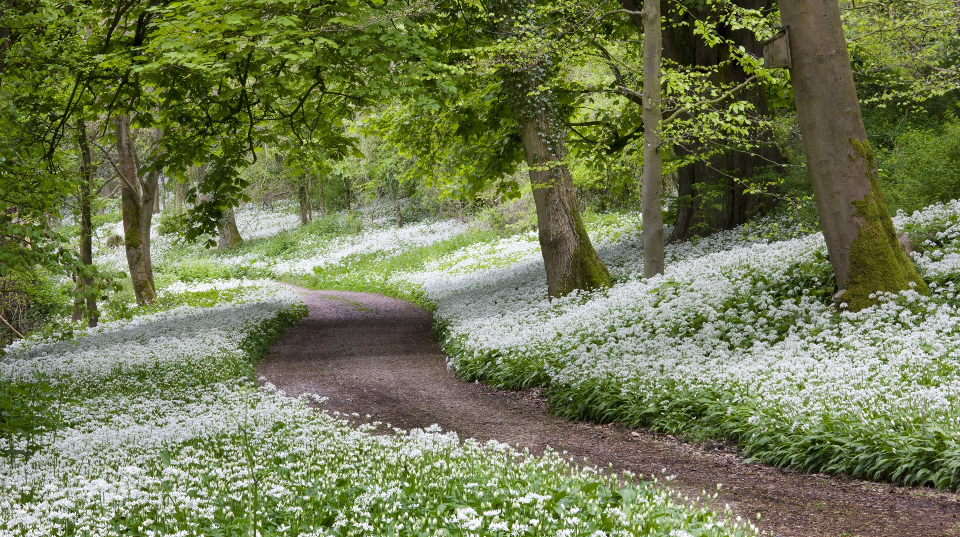 Your First Spiritual Coaching Session