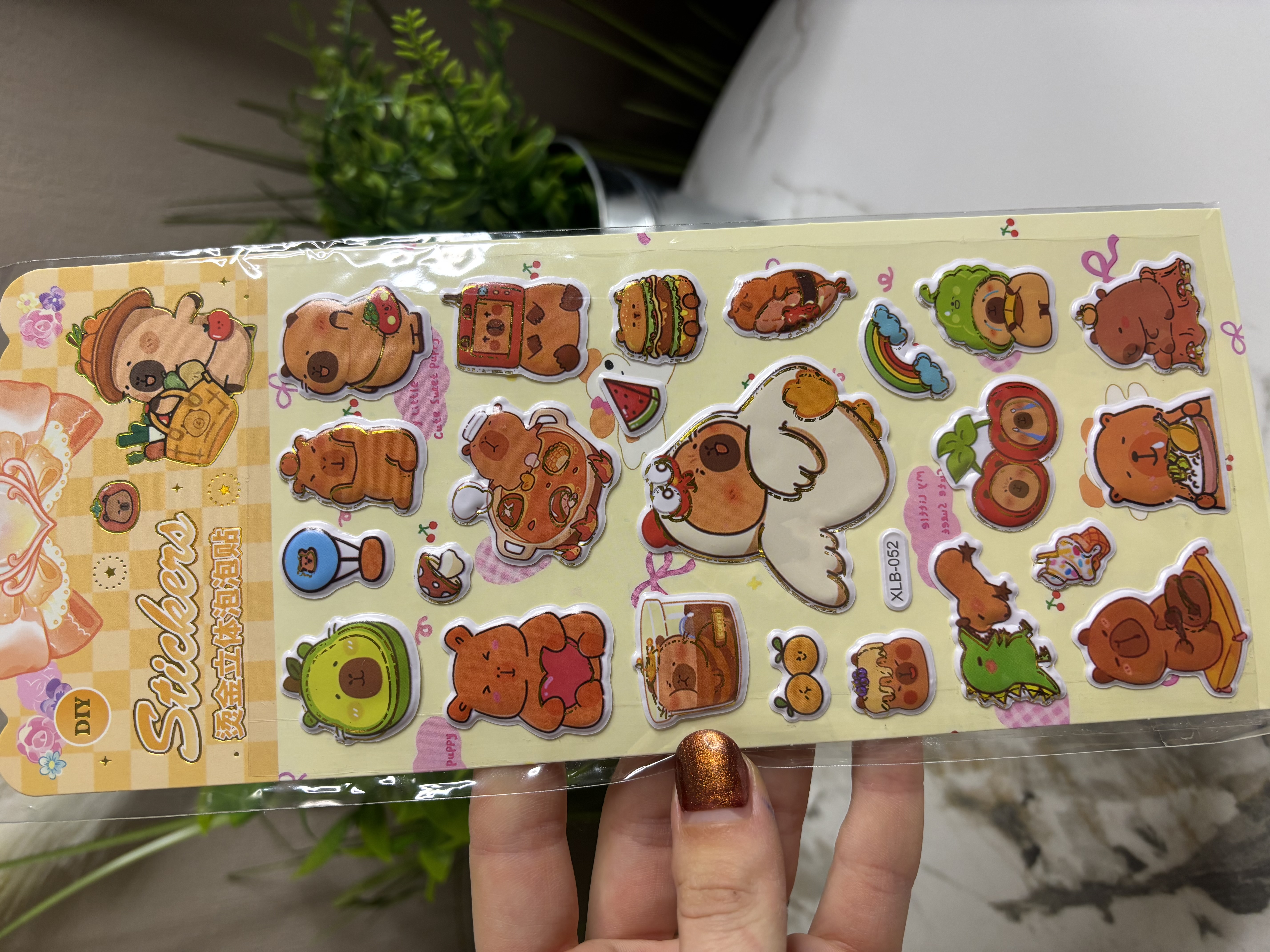 Lipdukų rinkinys su capybara