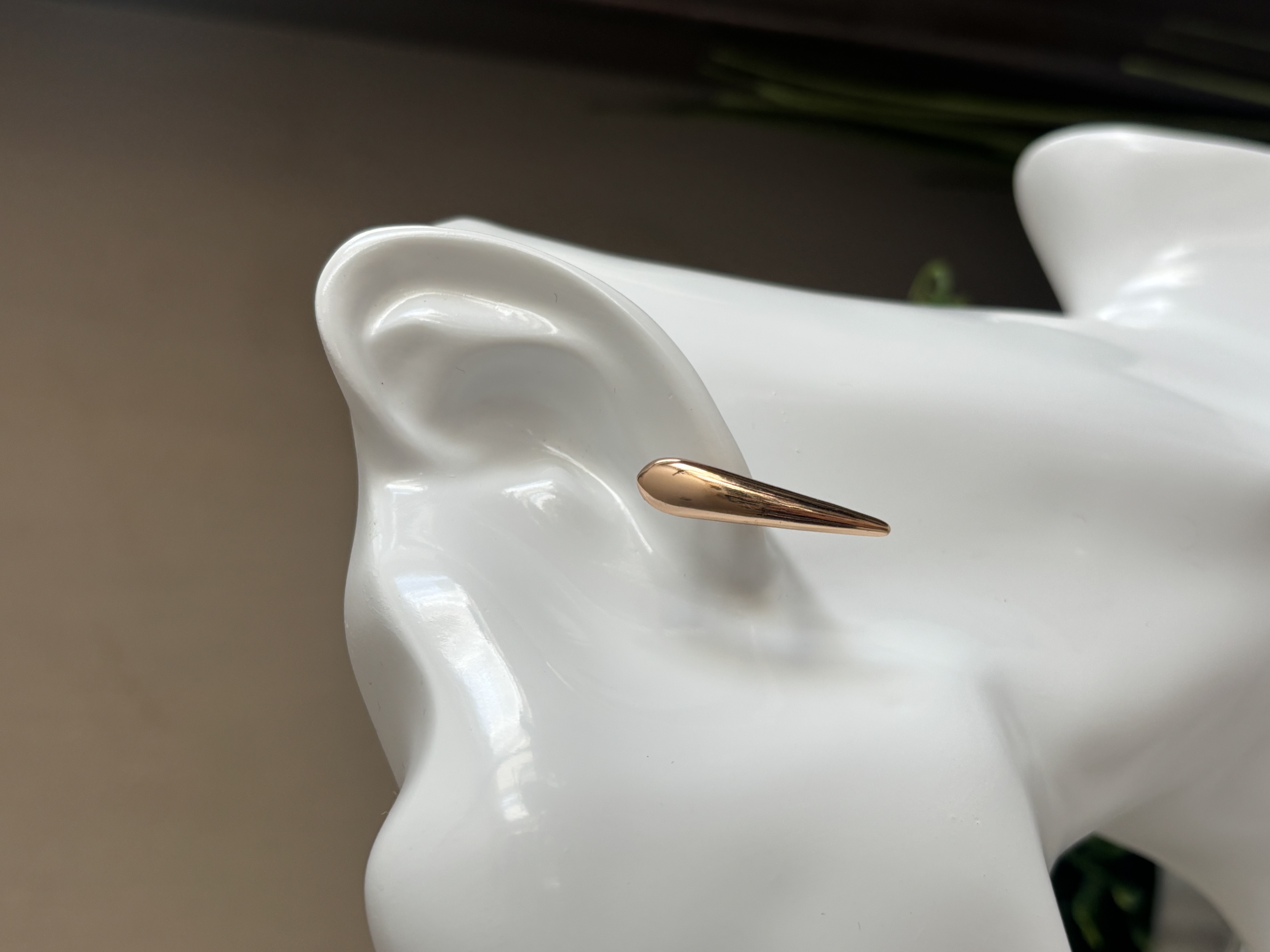 Medicininio metalo auskarai