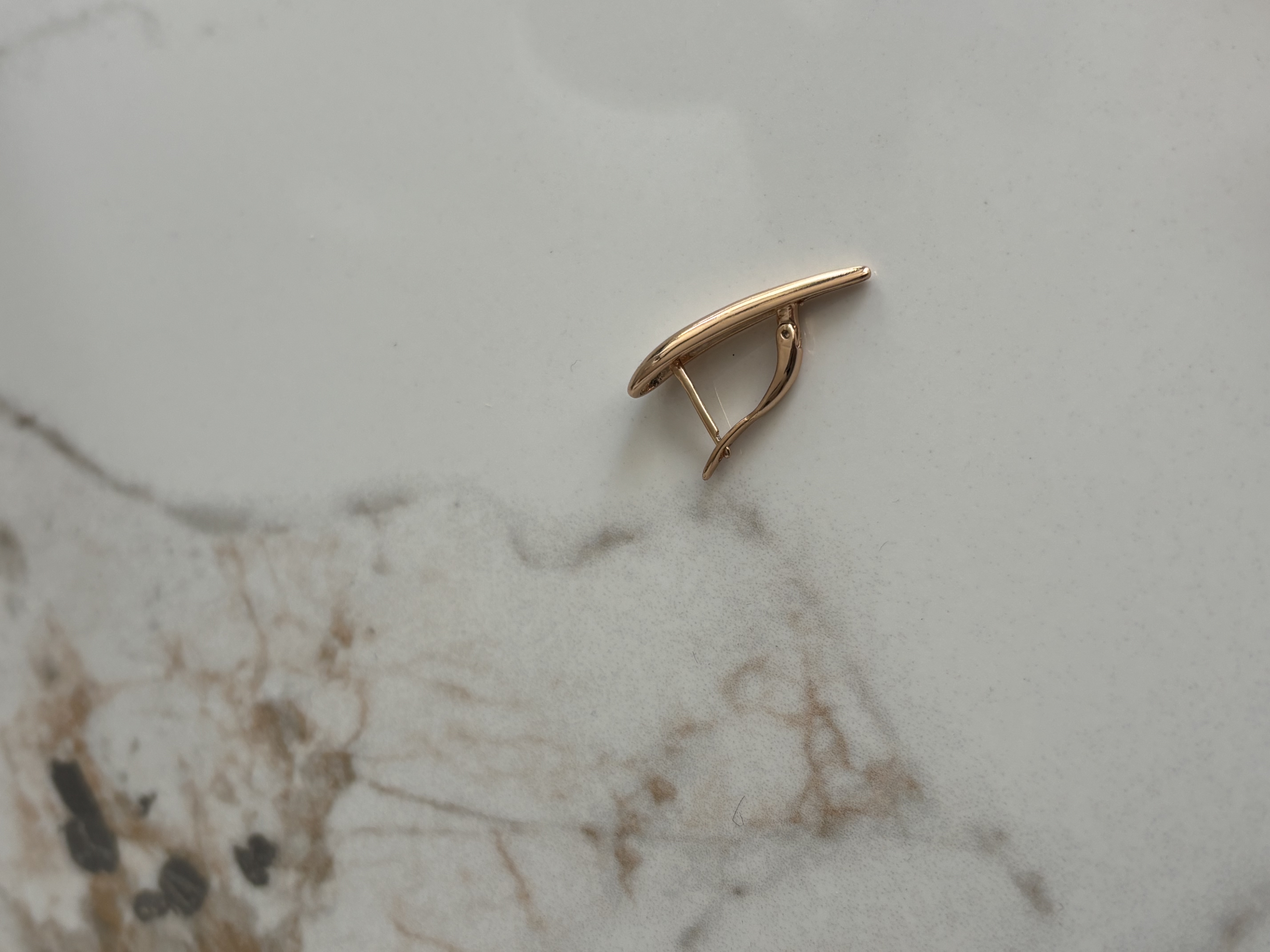 Medicininio metalo auskarai