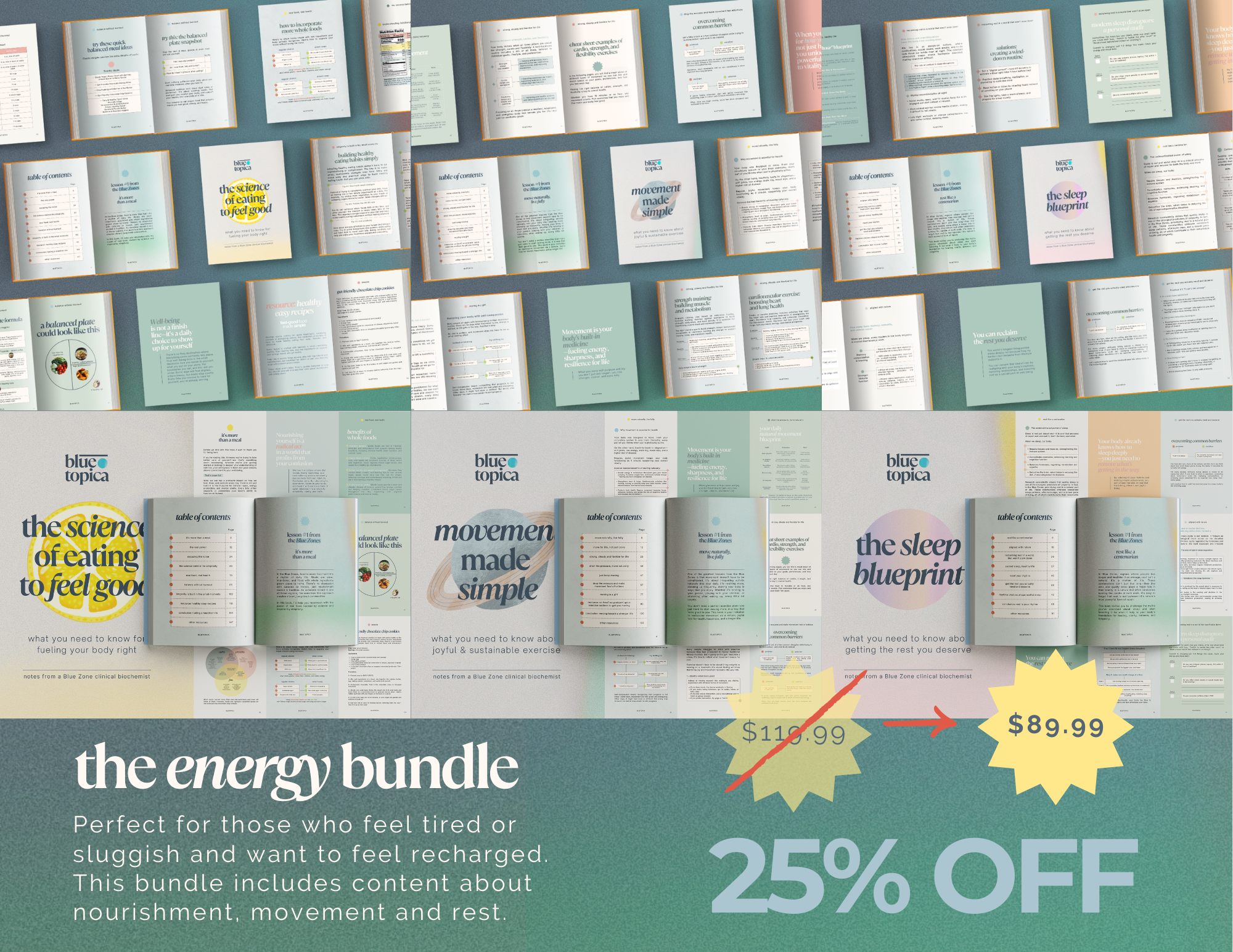 The Energy Bundle