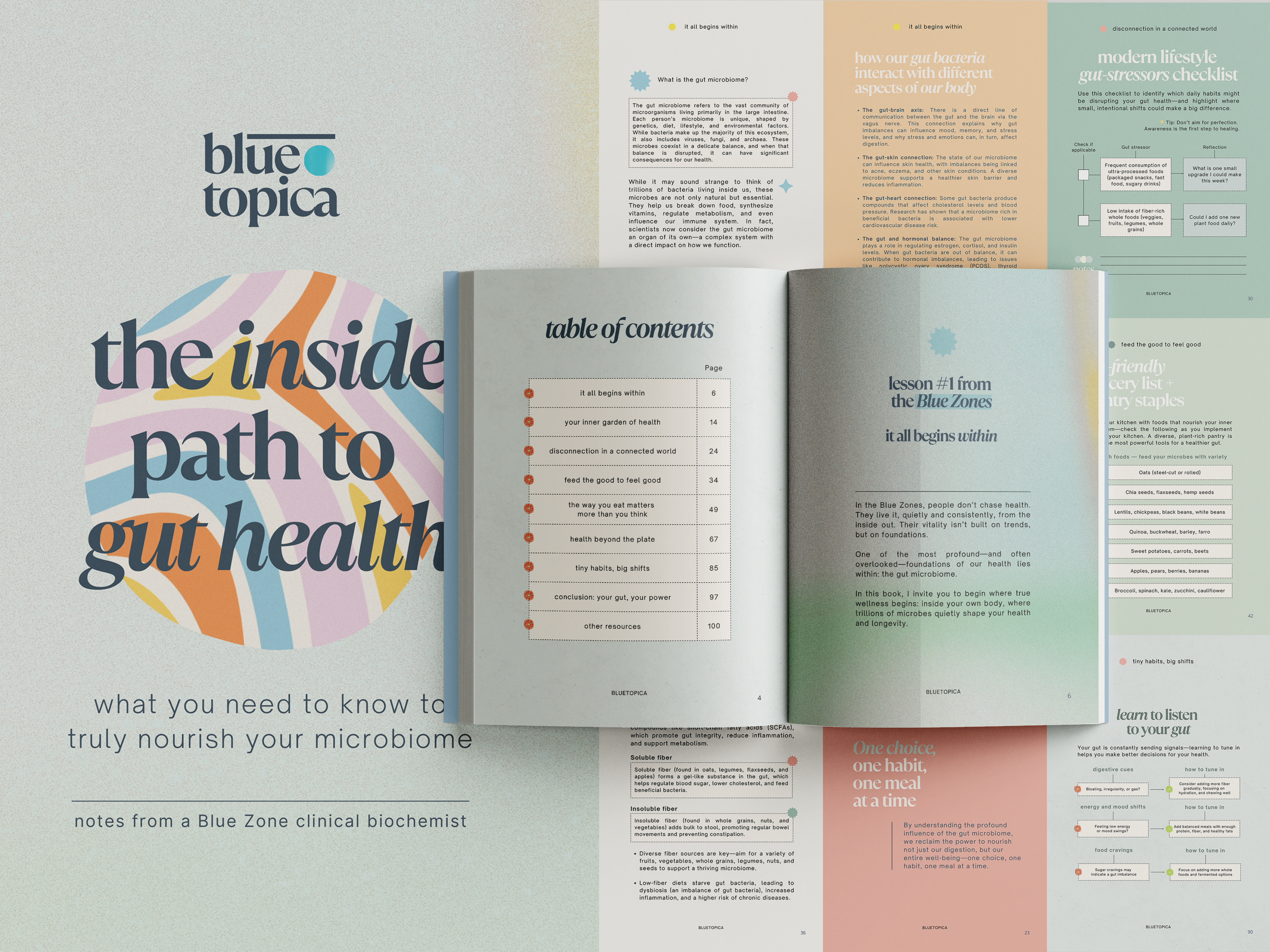The Inside Path to Gut Health