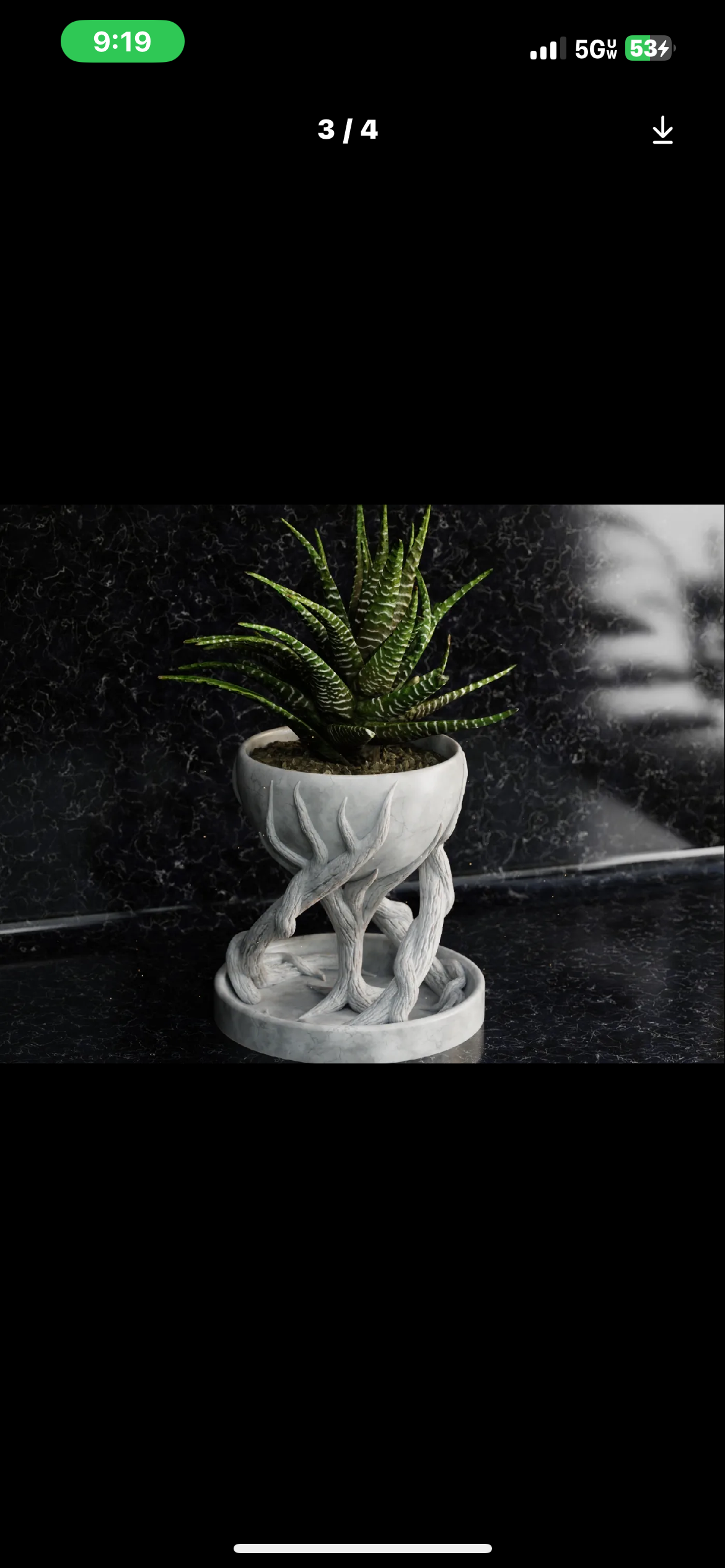 Decorative Succulent Plant in Artistic Pot