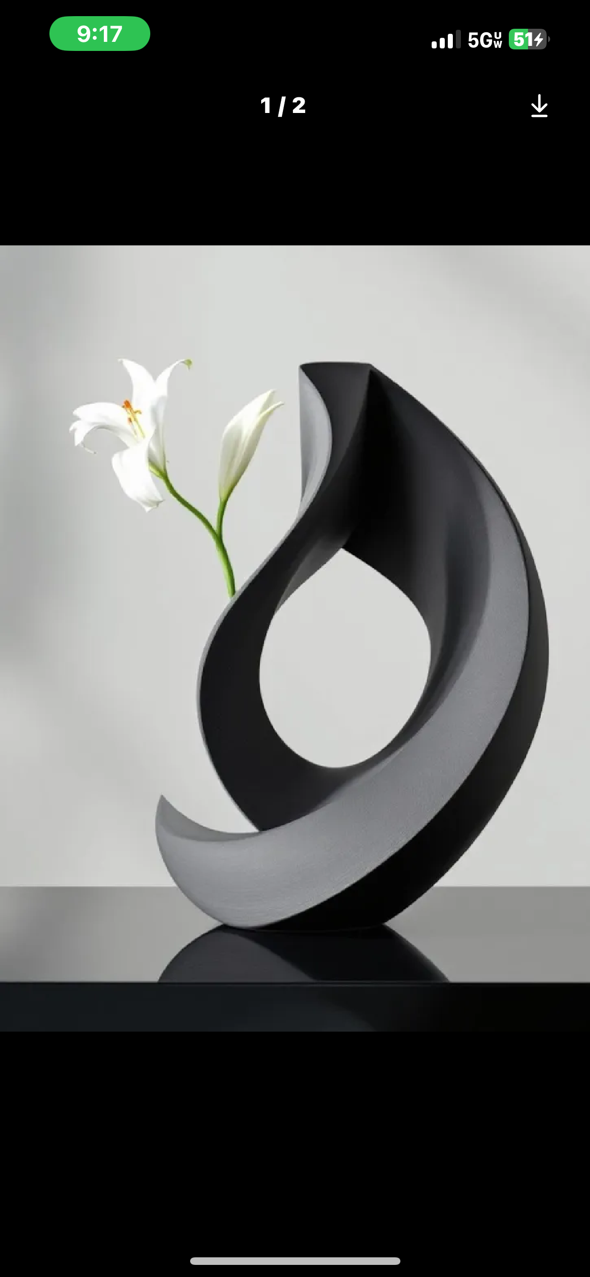 Modern Abstract Black Vase