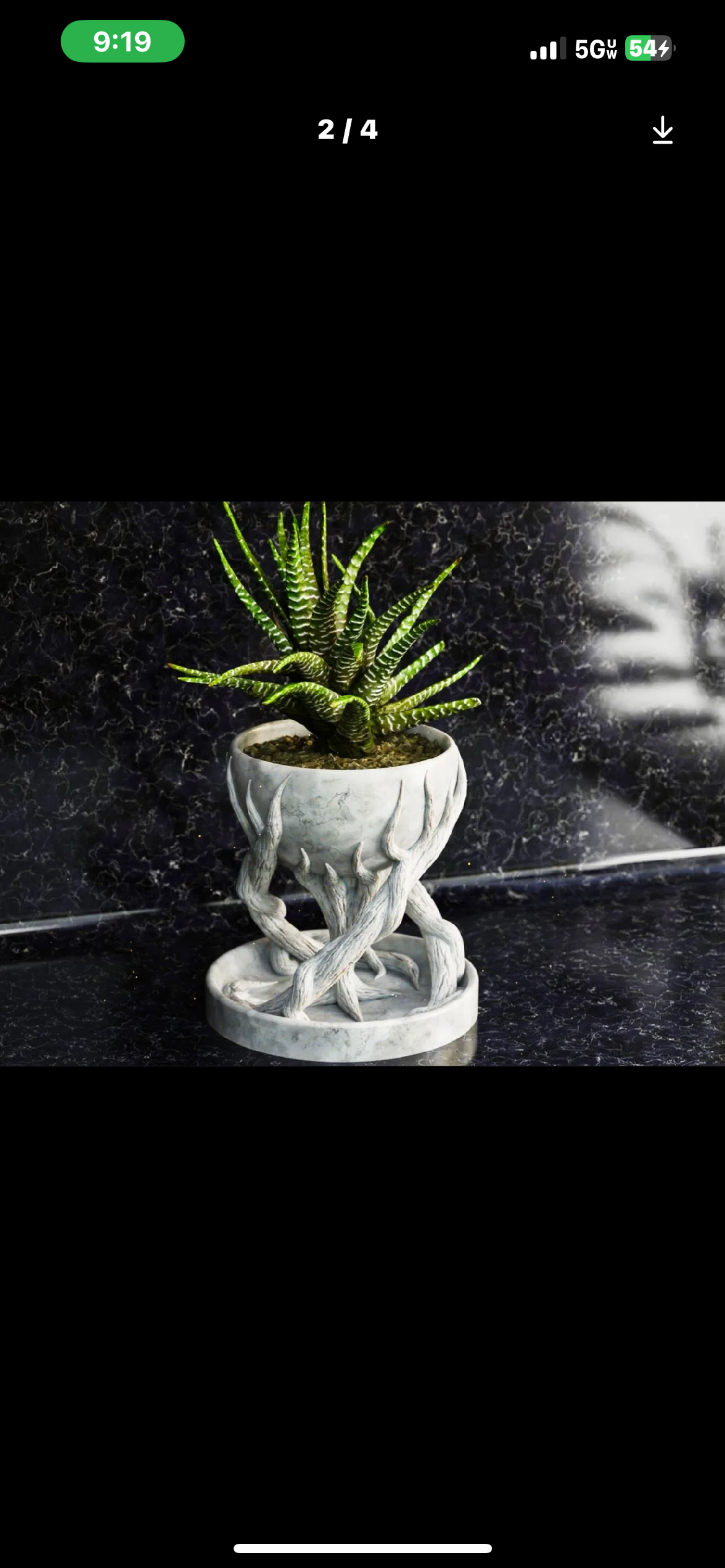 Decorative Succulent Plant in Artistic Pot