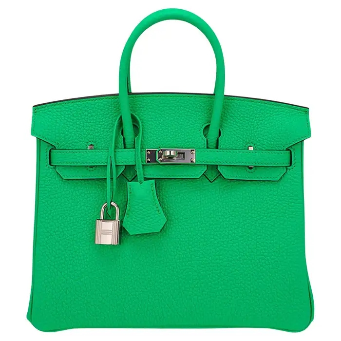 Hermes Birkin 25 Vert Comics Bag Palladium Hardware Togo Leather