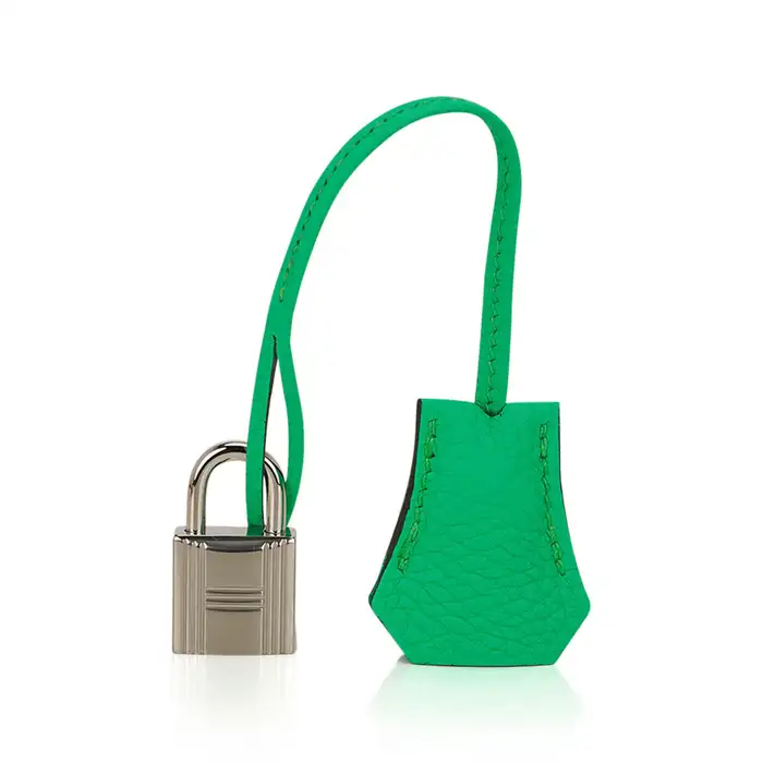 Hermes Birkin 25 Vert Comics Bag Palladium Hardware Togo Leather