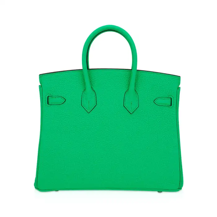 Hermes Birkin 25 Vert Comics Bag Palladium Hardware Togo Leather