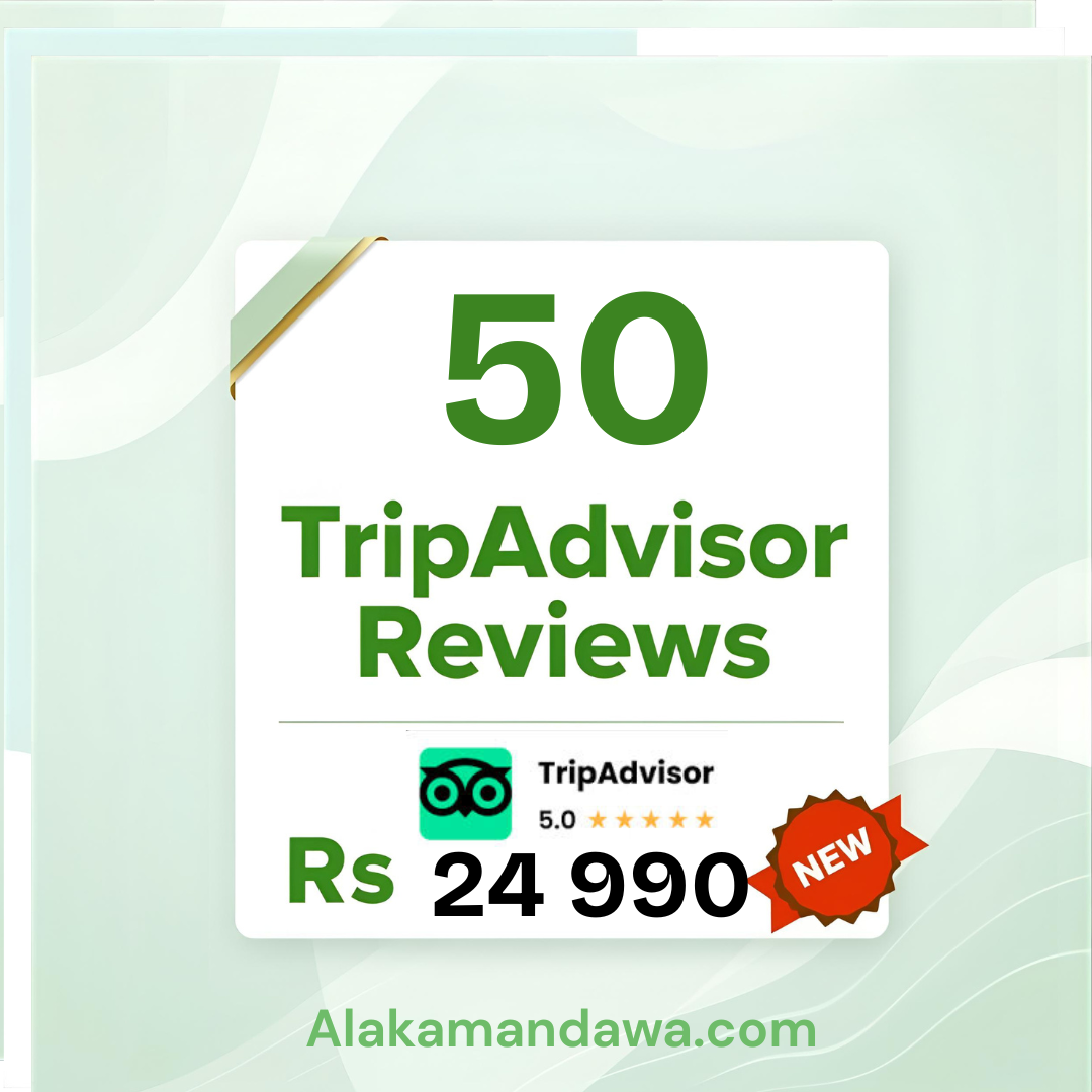 50 TripAdvisor Reviews