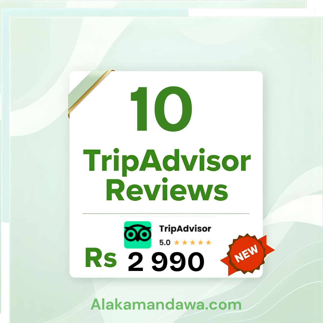 10 TripAdvisor Reviews