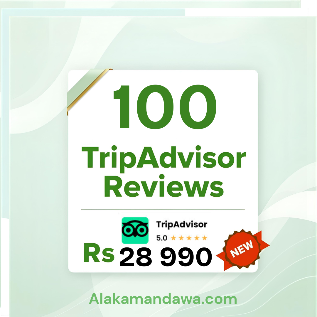100 TripAdvisor Reviews