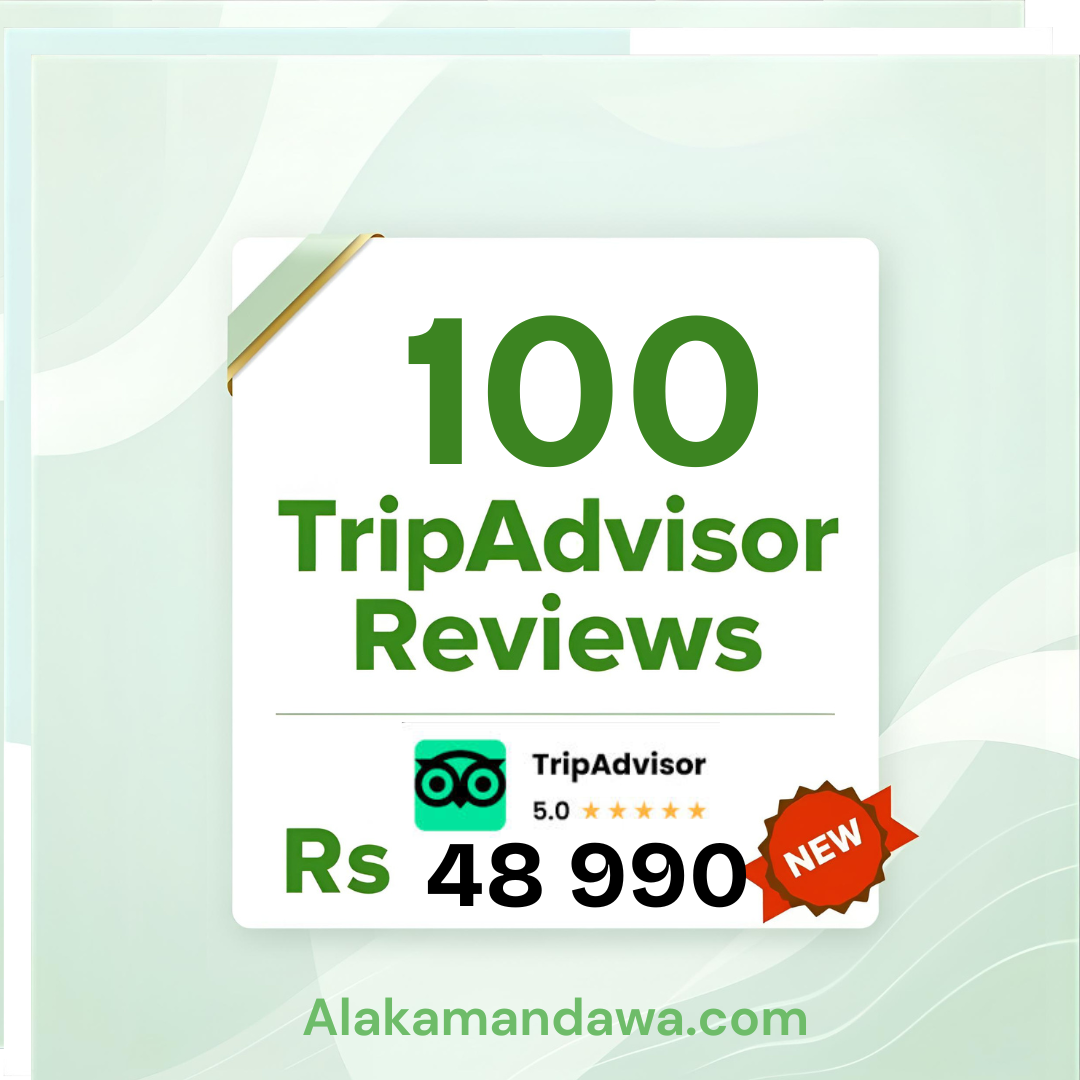 100 TripAdvisor Reviews