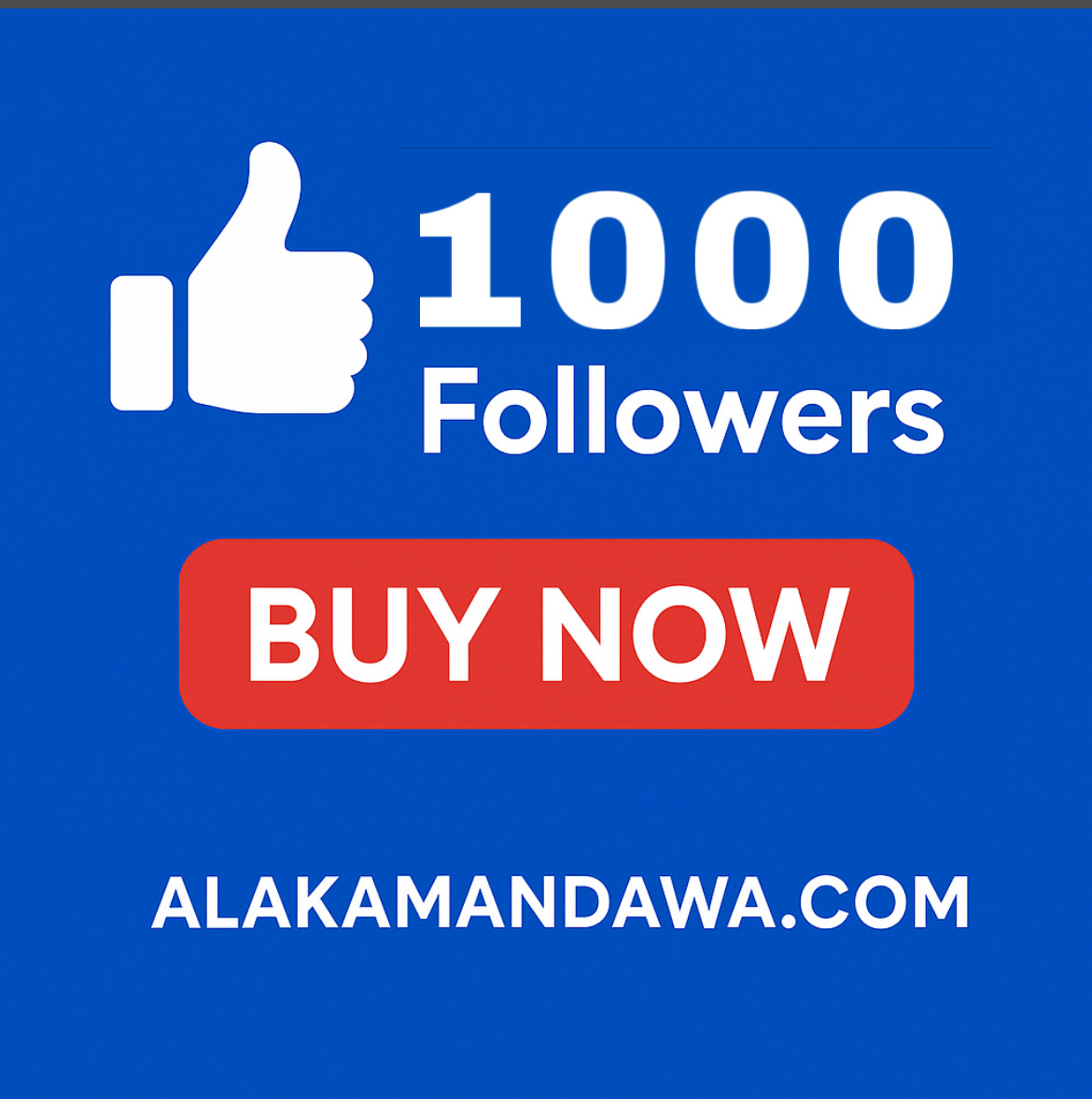 1000 Followers Package