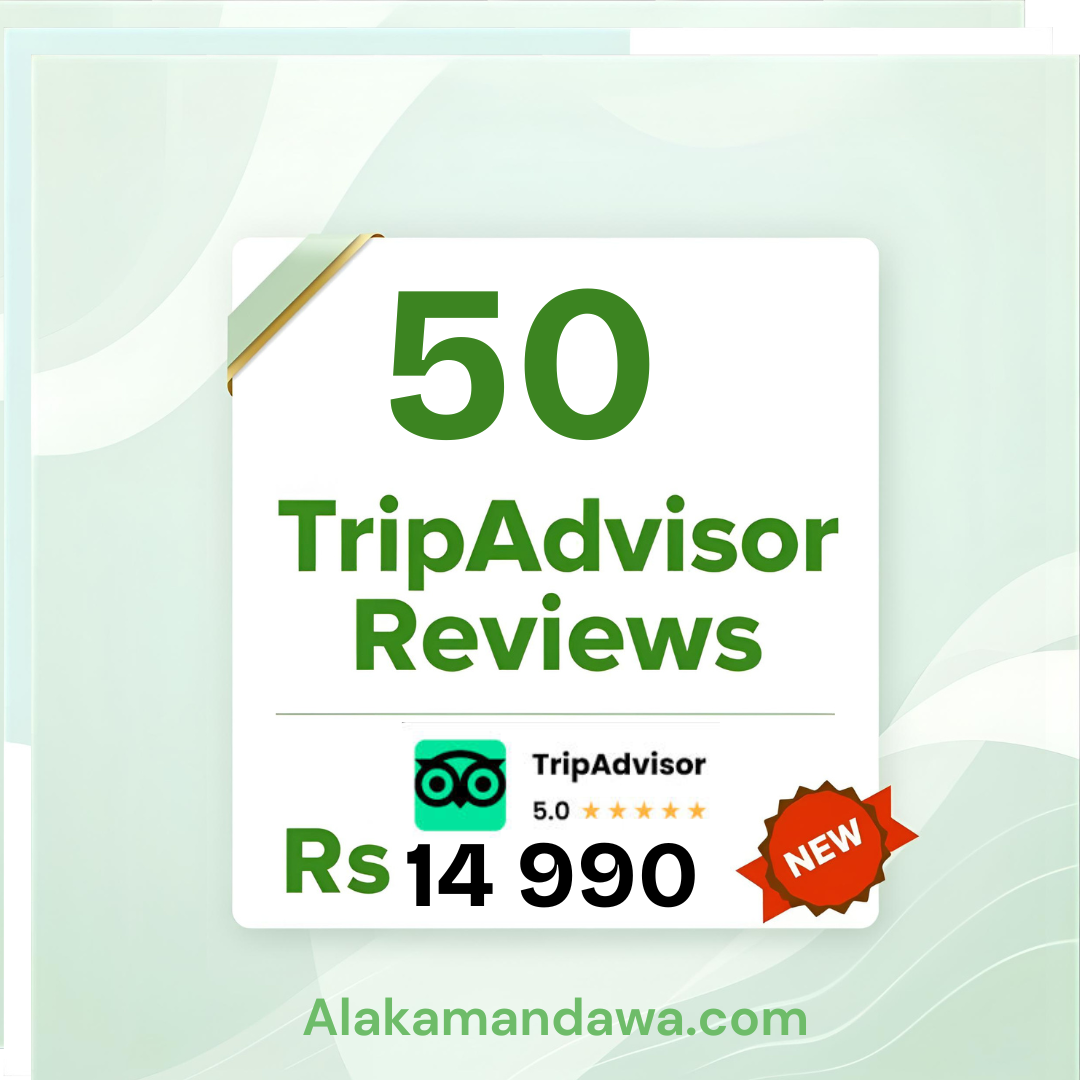 50 TripAdvisor Reviews
