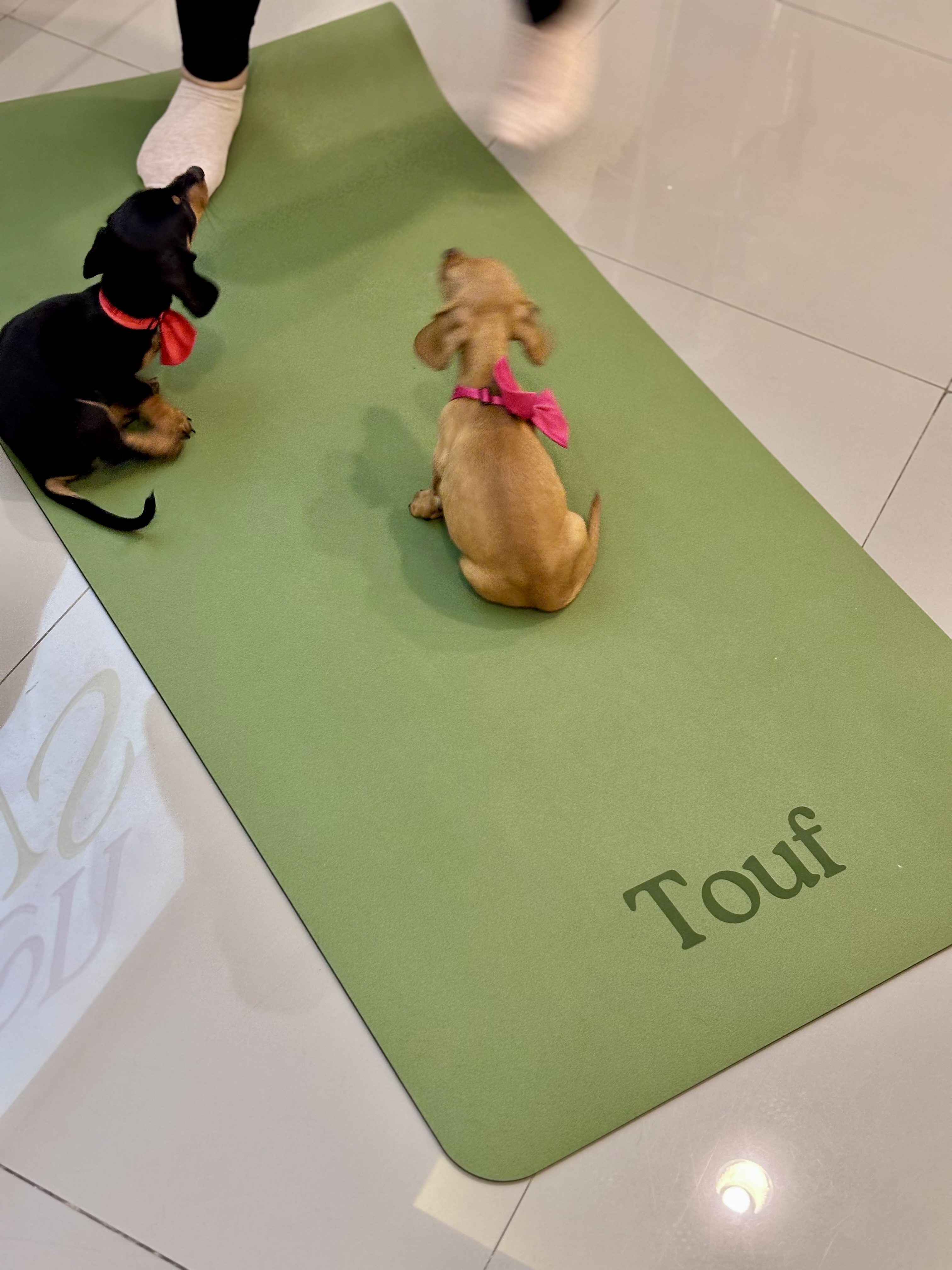 Touf Green Shade Mats
