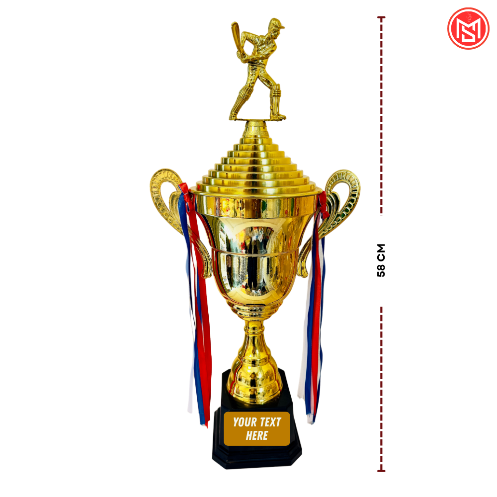 Cricket Trophy for Winner/Runner-up