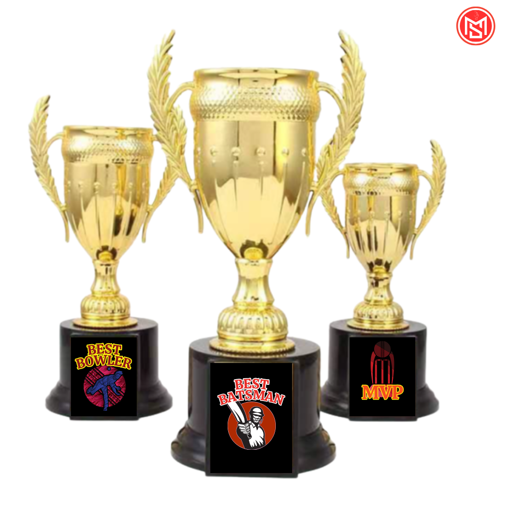Cricket Tournament Trophy Small
