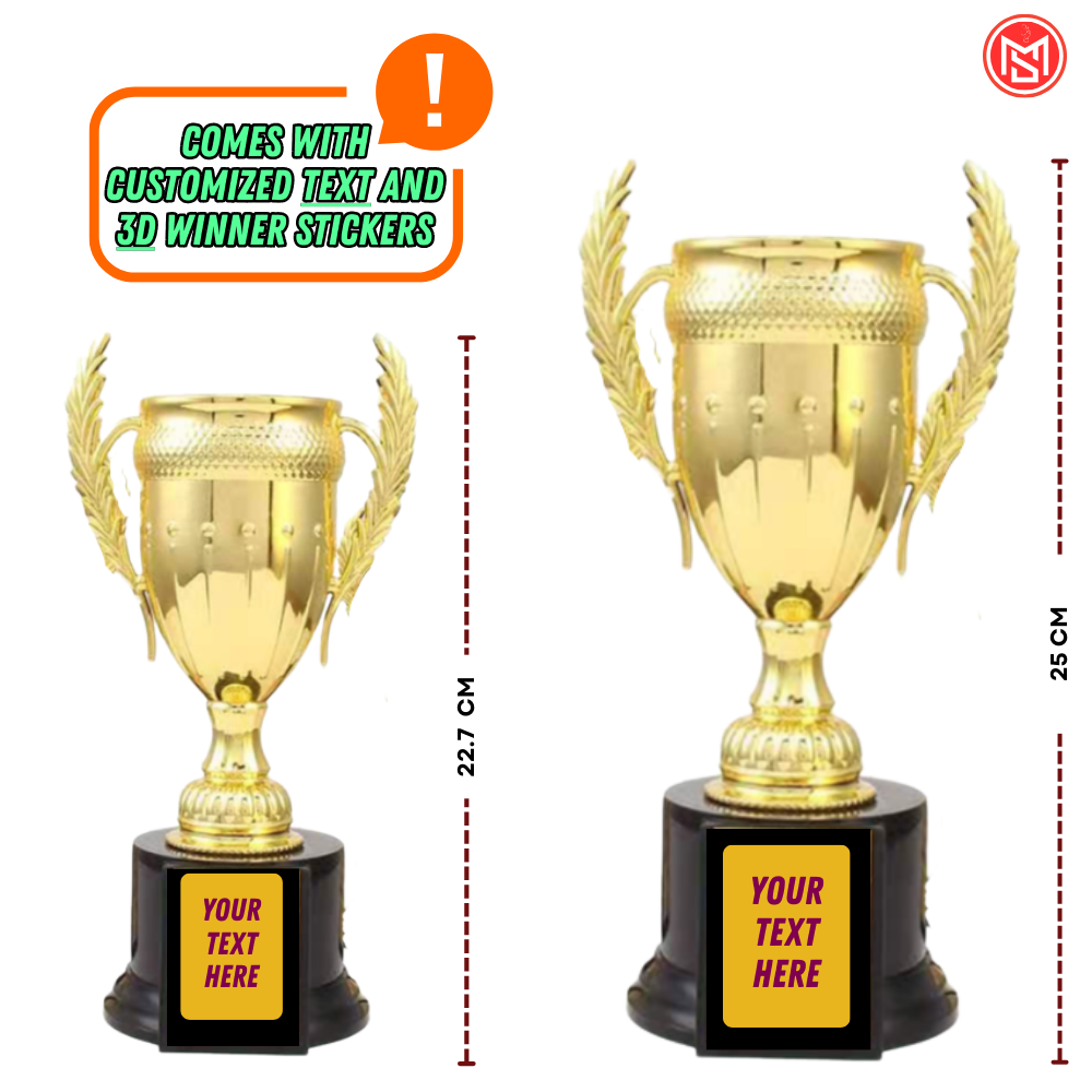 Cricket Tournament Trophy Small
