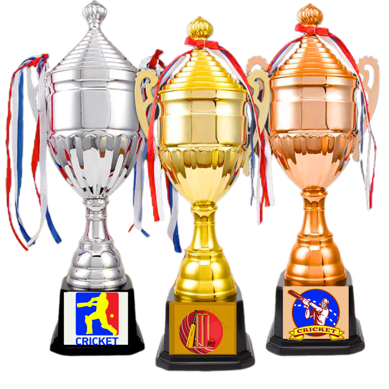 Cricket Winner Trophy