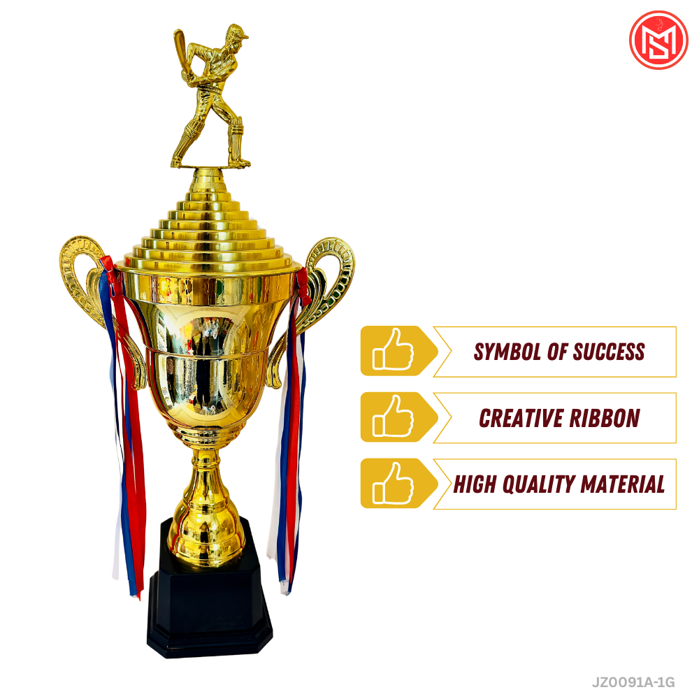Cricket Trophy for Winner/Runner-up
