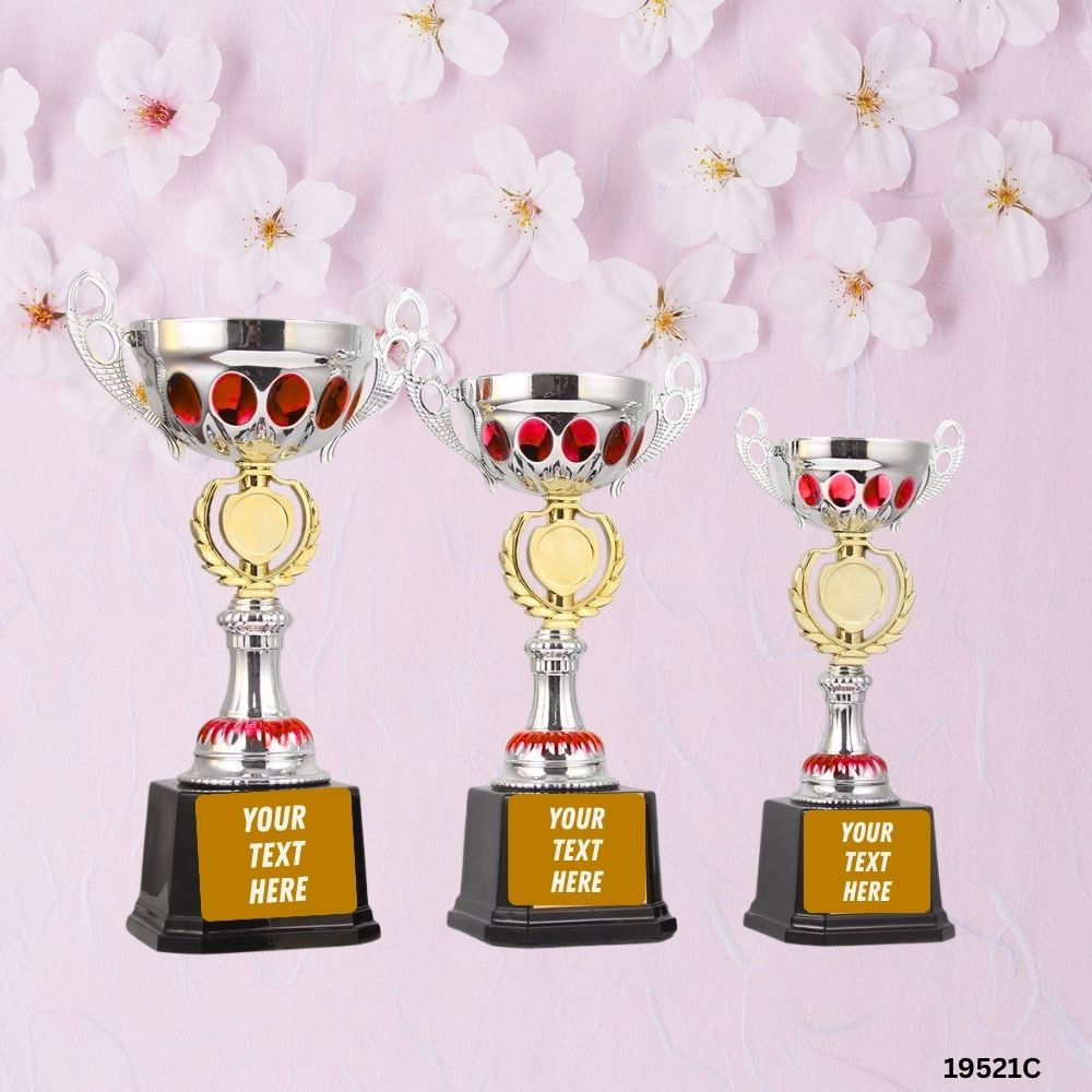 Royal Silver Trophy — Blue / Red (26 cm)