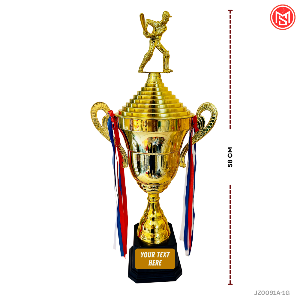 Cricket Trophy for Winner/Runner-up