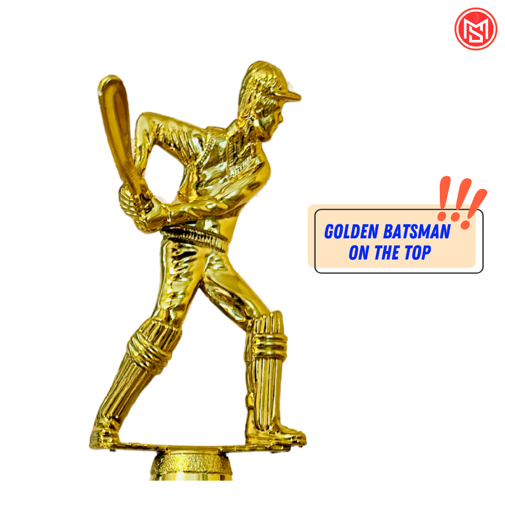 Cricket Trophy for Winner/Runner-up