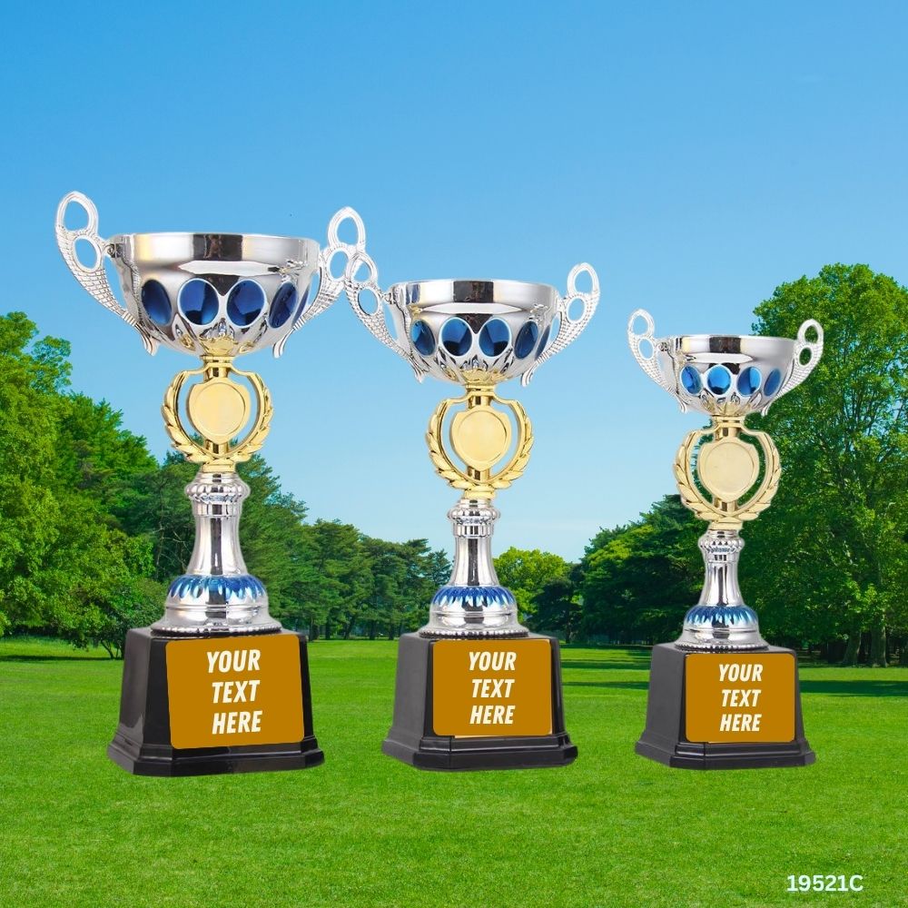 Royal Silver Trophy — Blue / Red (26 cm)