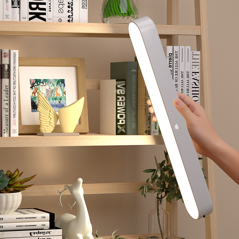 1613-28 Magnetis Learning Light