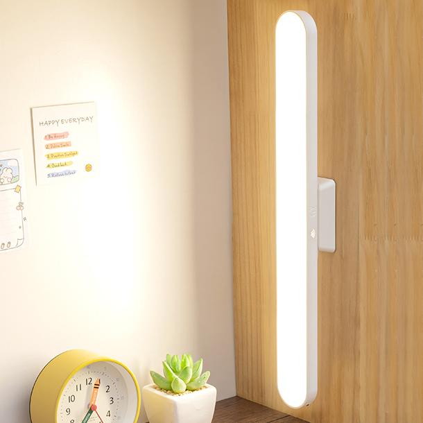 1613 Magnetis Learning Light