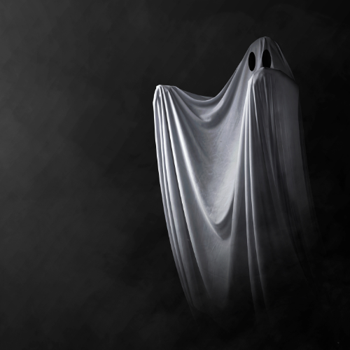 PROTECTION DE SA MAISON