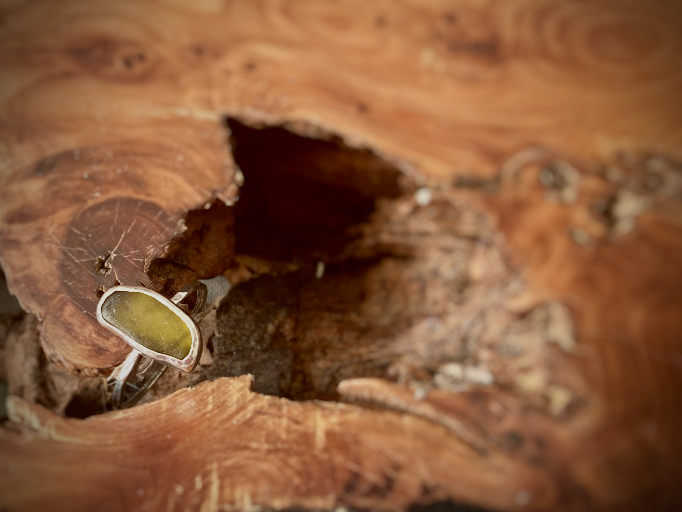 Venters Ring - Size S