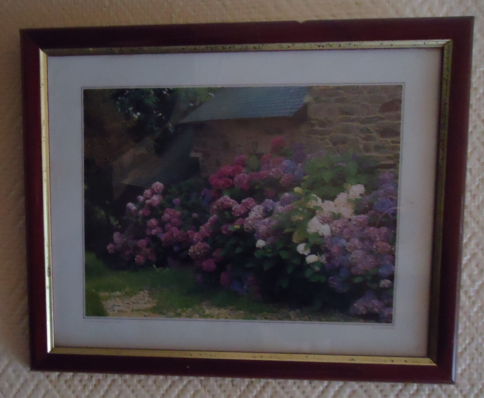 Cadre photo avec illustration de fleurs