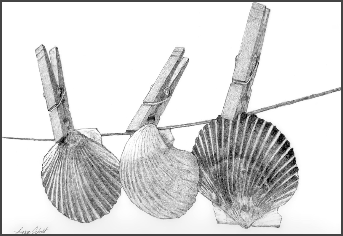 Shell Laundry