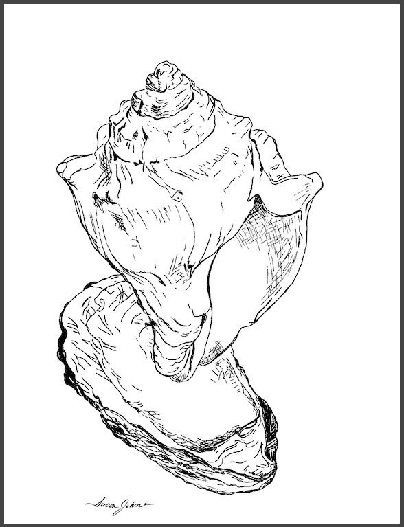 Shell Dance Duet