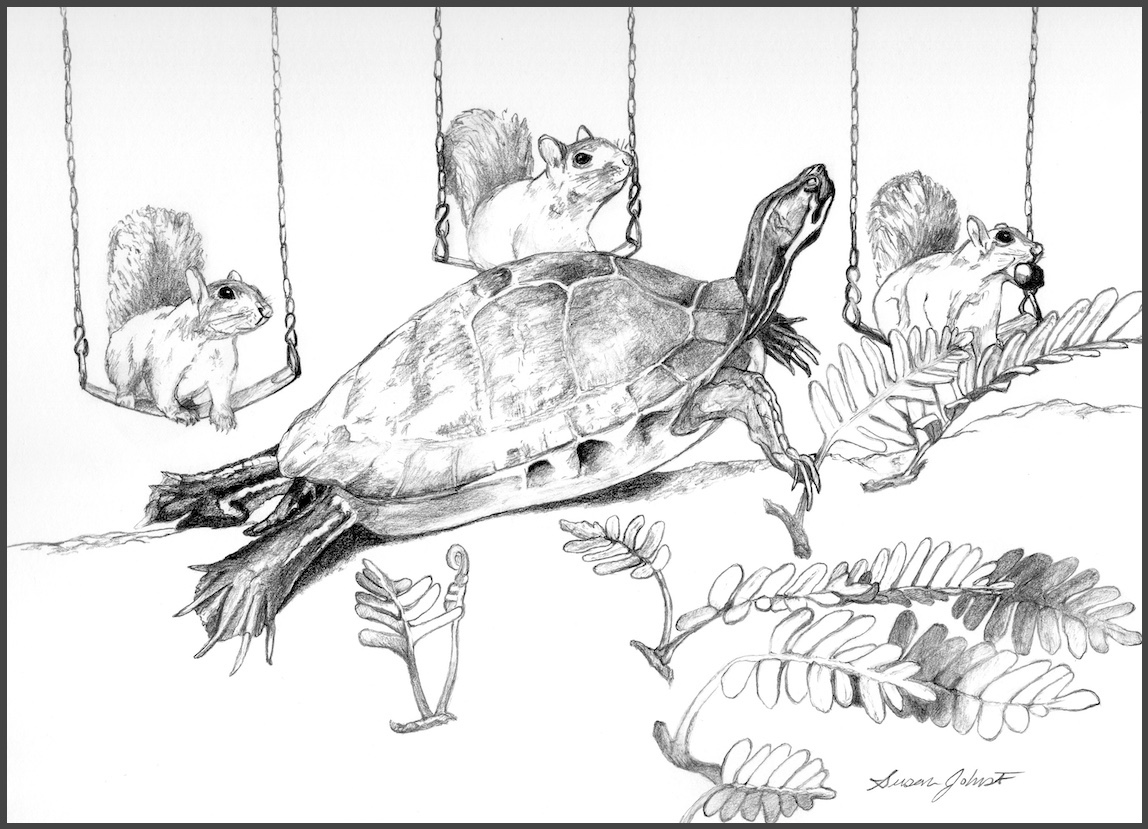 Turtle Class 2