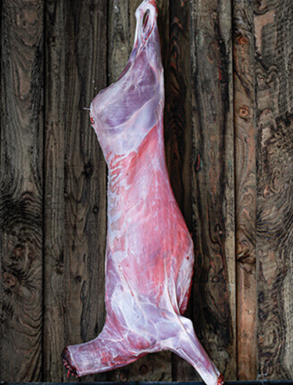 FROZEN LAMB