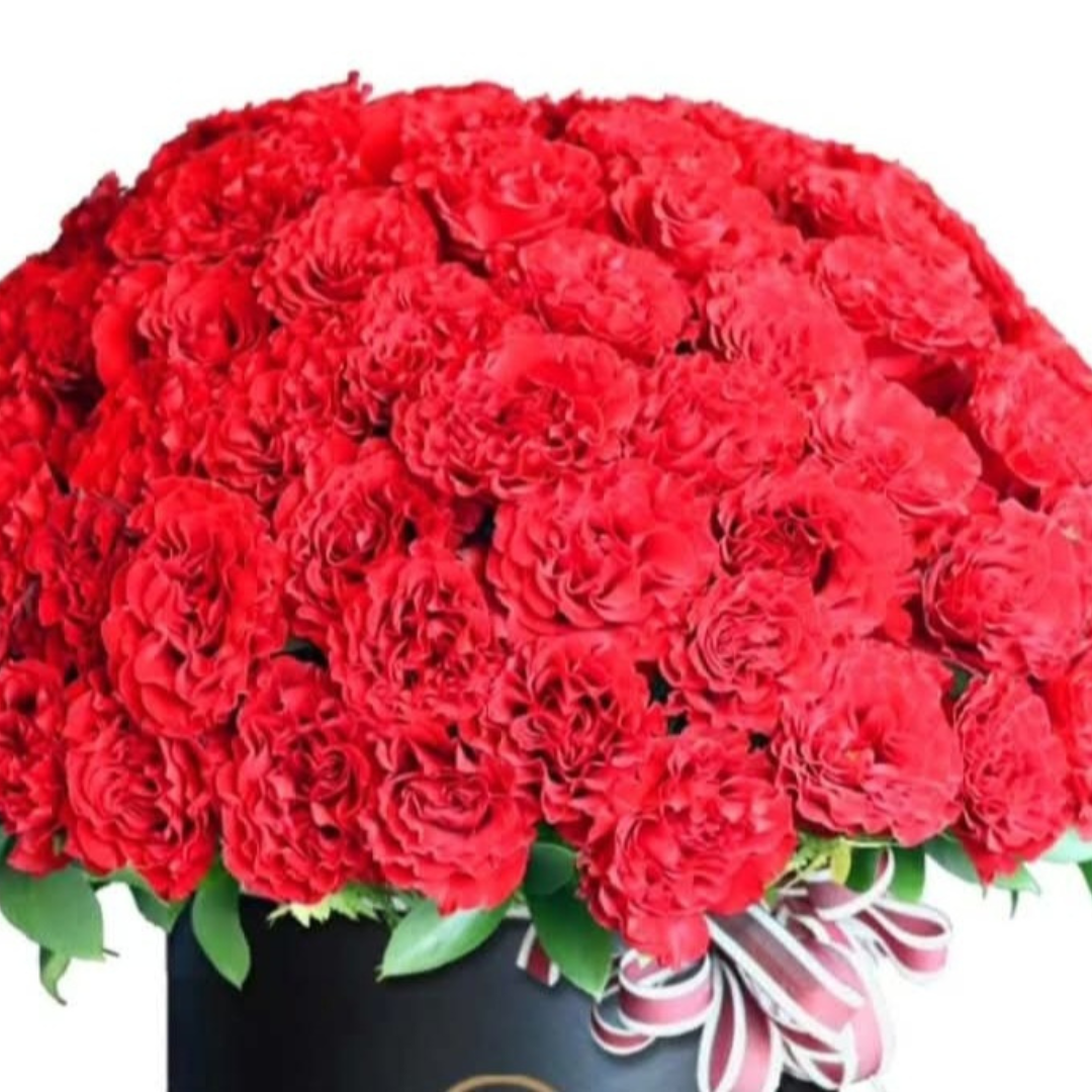 Bouquet of Red Carnations