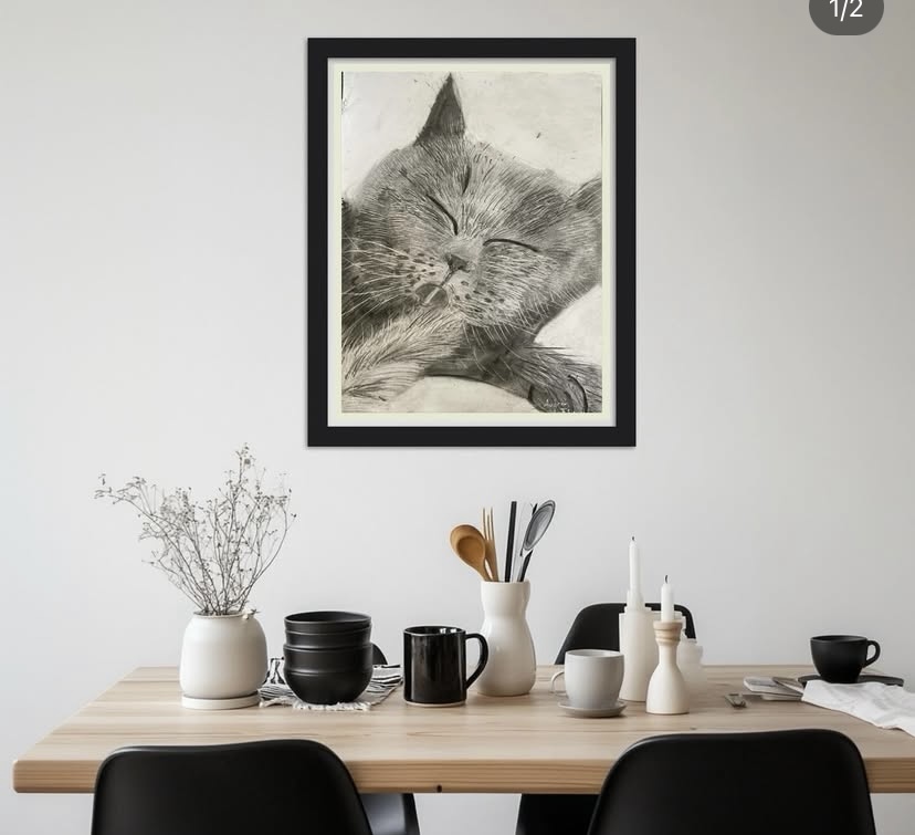 Le British Shorthair