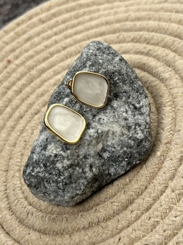 Elegant Gold-Plated Earrings