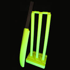 Neon Cricket Bat and Stumps Set