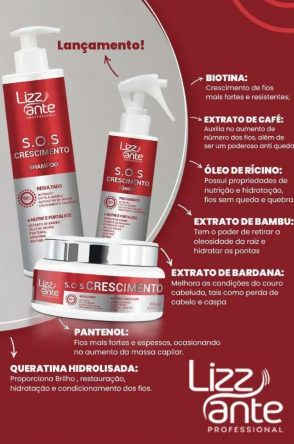 Kit Lizz Ante S.O.S Crescimento