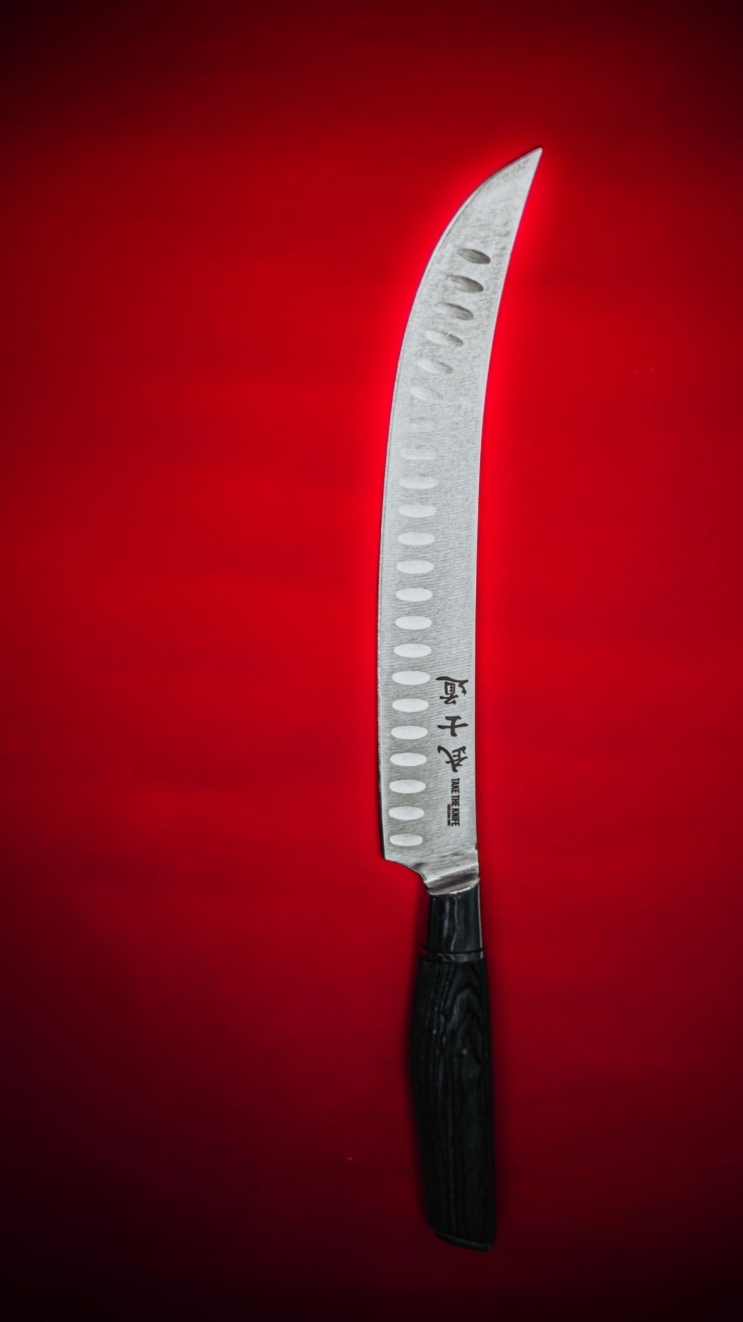 Take the Knife 10'' Slicer Knife